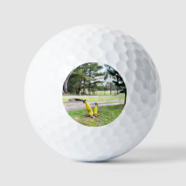 再失ったび庭で ゴルフボール