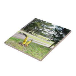 再失ったび庭で タイル