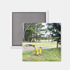 再失ったび庭で マグネット