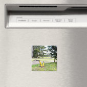 再失ったび庭で マグネット (インサイチュ (食洗機))