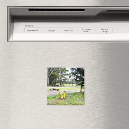 再失ったび庭で マグネット (インサイチュ (食洗機))