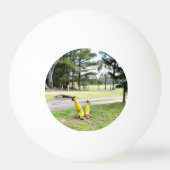 再失ったび庭で 卓球ボール (正面)