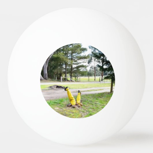 再失ったび庭で 卓球ボール (正面)