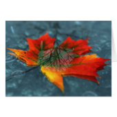 再帰反射カード (正面横)