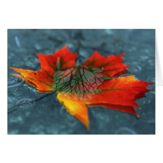 再帰反射カード (正面横)