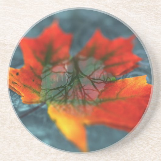 再帰反射コースター コースター (正面)