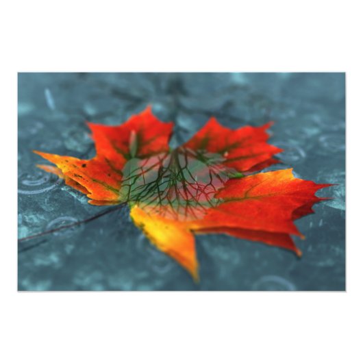 再帰反射フォトプリント フォトプリント            (正面)