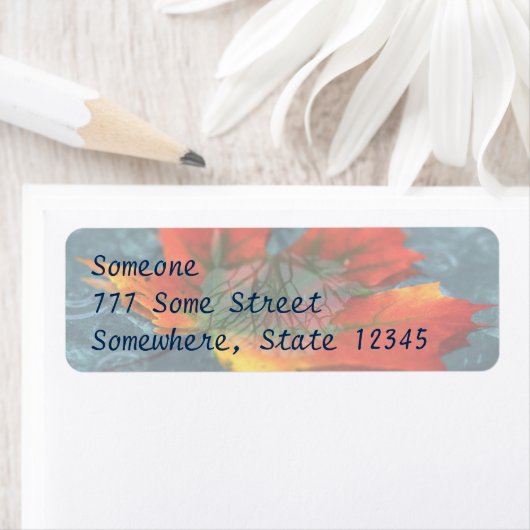 再帰反射住所 シール (インサイチュ)