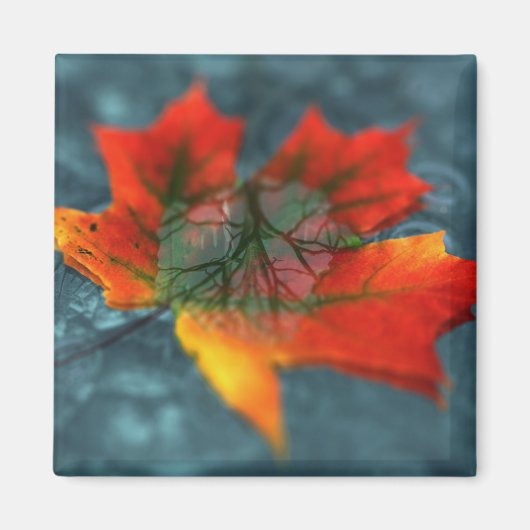 再帰反射磁石 マグネット (正面)