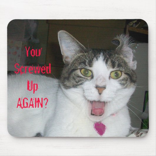 再度しくじられるか。 マウスパッド (正面)
