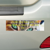 再来…か。か。 バンパーステッカー (車上)