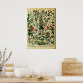 再現アドルフィミロ自然ポスター:花 ポスター (キッチン)