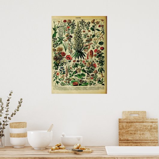 再現アドルフィミロ自然ポスター:花 ポスター (キッチン)