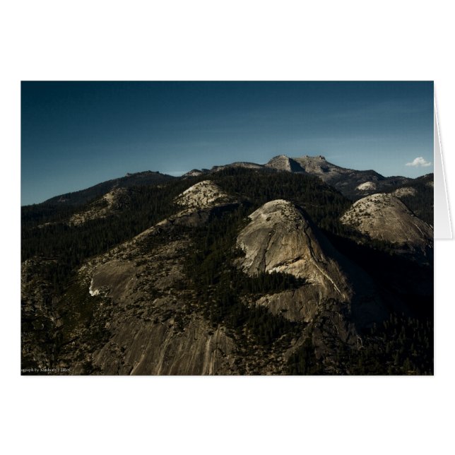 再生カード (正面横)