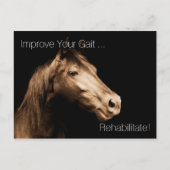 再生セラピーウマ科のスペシャリストP任命 ポストカード (正面)