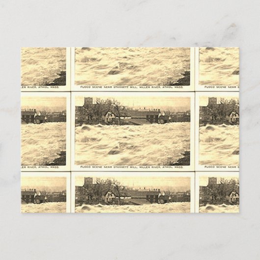 再生ヴィンテージはがきアトール,マス ポストカード (正面)