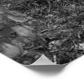 再生 ポスター (角)