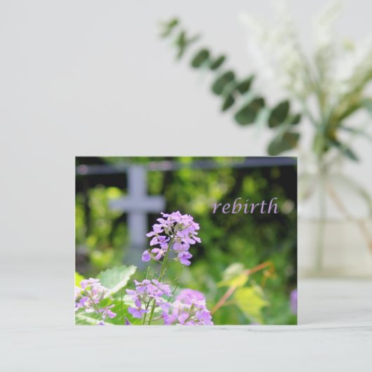 再生 ポストカード (スタンド正面)