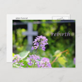 再生 ポストカード (正面/裏面)