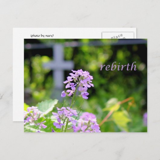 再生 ポストカード (正面/裏面)