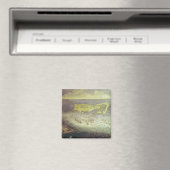 再編の包囲の解除 マグネット (インサイチュ (食洗機))