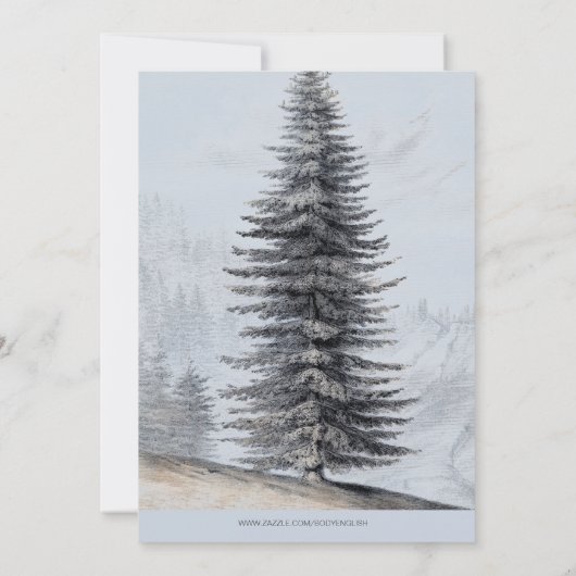 冒険がウッドランド・ベアの誕生日を続ける 招待状 (裏面)