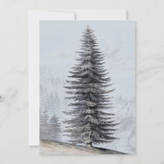 冒険が始まる素朴ウッドランドに赤ちゃんシャワー 招待状 (裏面)