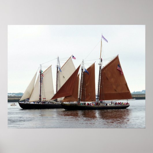 冒険とローズウェイ ポスター (正面)