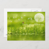 冒険に舞い上がる ポストカード (正面/裏面)