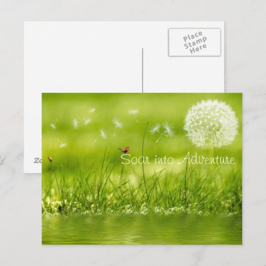冒険に舞い上がる ポストカード (正面/裏面)