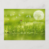 冒険に舞い上がる ポストカード (正面)