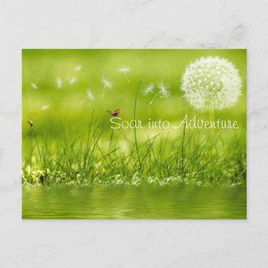 冒険に舞い上がる ポストカード (正面)