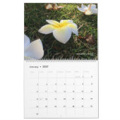 冒険の兄弟: ハワイのカレンダー カレンダー (1月 2027)