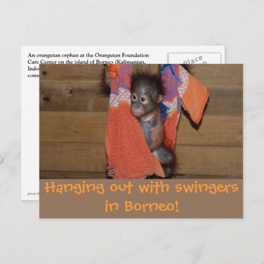 冒険の旅から挨拶 ポストカード (正面/裏面)