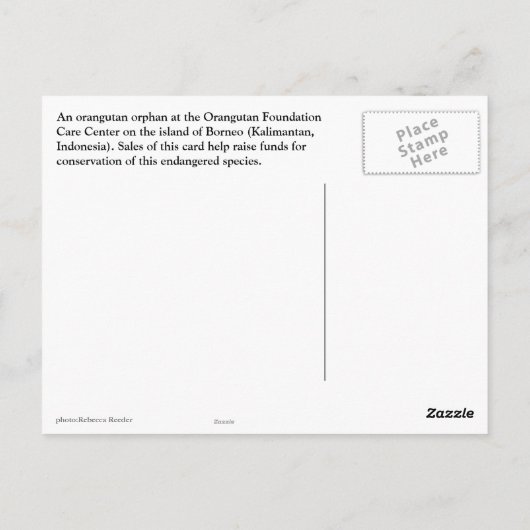 冒険の旅から挨拶 ポストカード (裏面)