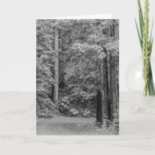 冒険メリー シーズンカード (正面)