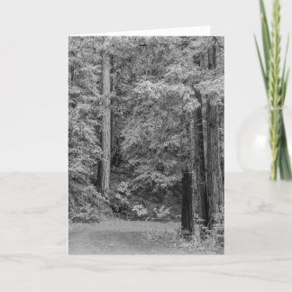 冒険メリー シーズンカード