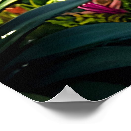 冒険家アナナス – Pineapple Empire ポスター (角)