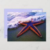 冒険 ポストカード (正面/裏面)