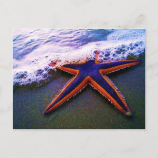 冒険 ポストカード