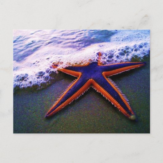 冒険 ポストカード (正面)