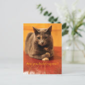 冗談だろ? ポストカード (スタンド正面)