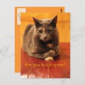 冗談だろ? ポストカード (正面/裏面)