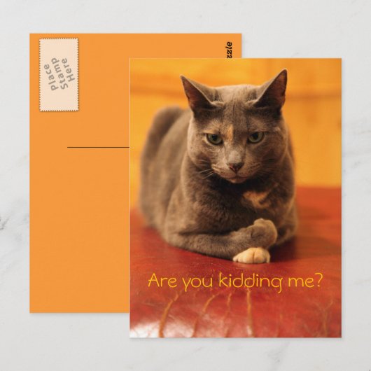 冗談だろ? ポストカード (正面/裏面)