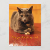 冗談だろ？ ポストカード (正面)