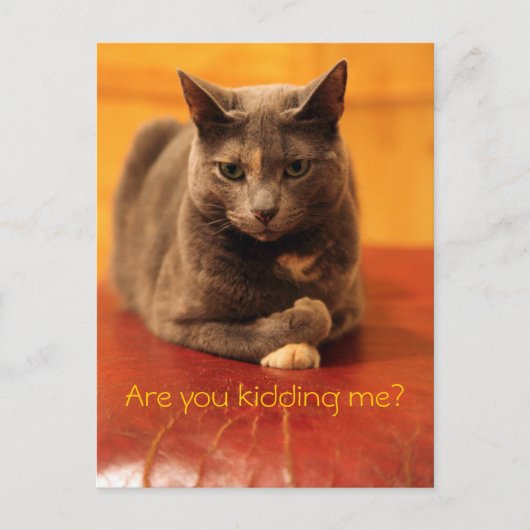 冗談だろ? ポストカード (正面)