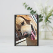 冗談だろ！ ポストカード (スタンド正面)