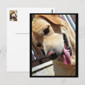冗談だろ！ ポストカード (正面/裏面)