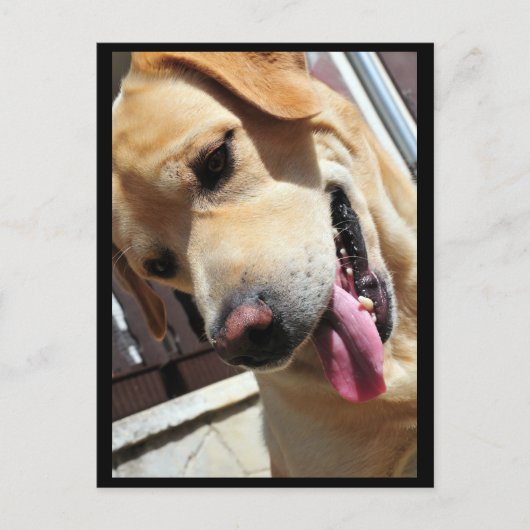 冗談だろ！ ポストカード (正面)