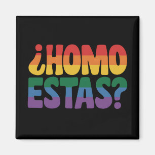 冗談でスペイン語のメキシコのゲイの味方LGBTQ マグネット